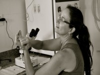 Dra. Silvia Baeta no processo de transferência de embrião